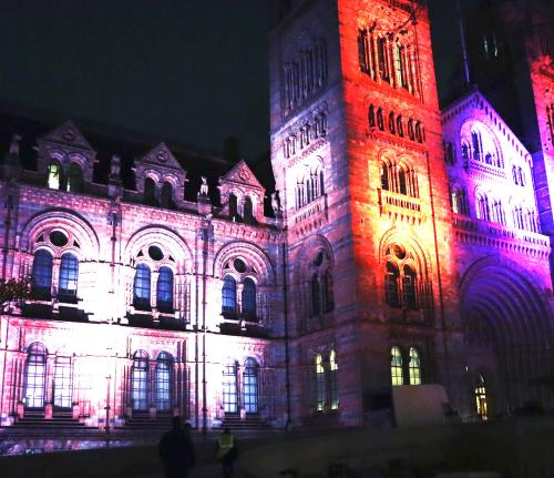 Natural History Museum Event Stage Hire